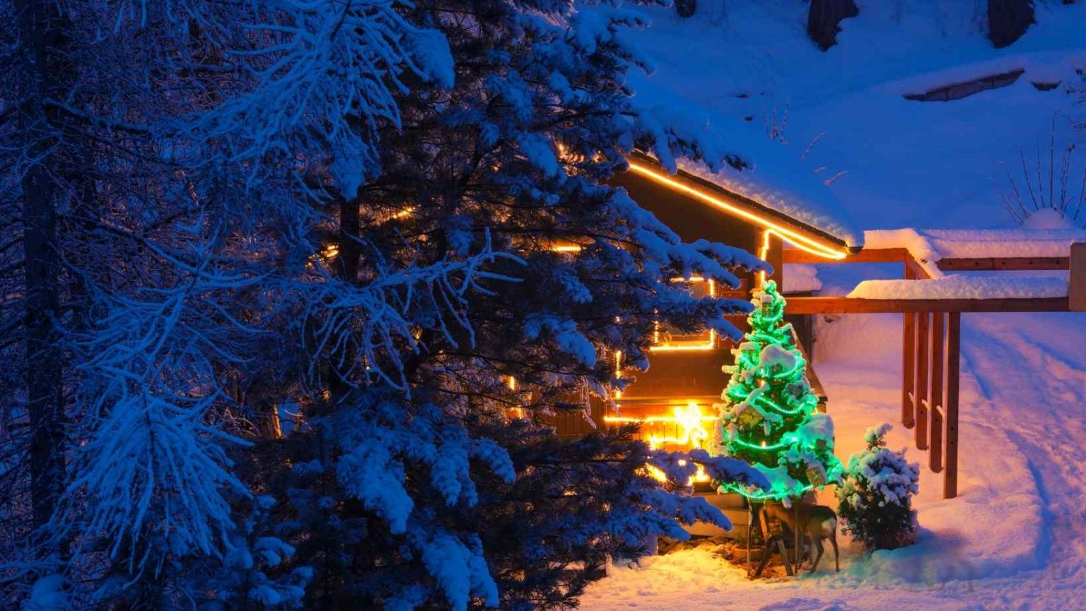 Incredible Outdoor Christmas tree Decorations for the Creative Souls