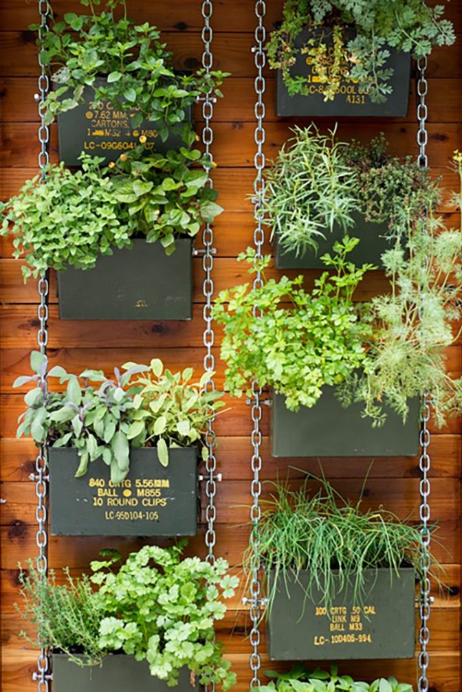 Ammunition Can Vertical Garden.