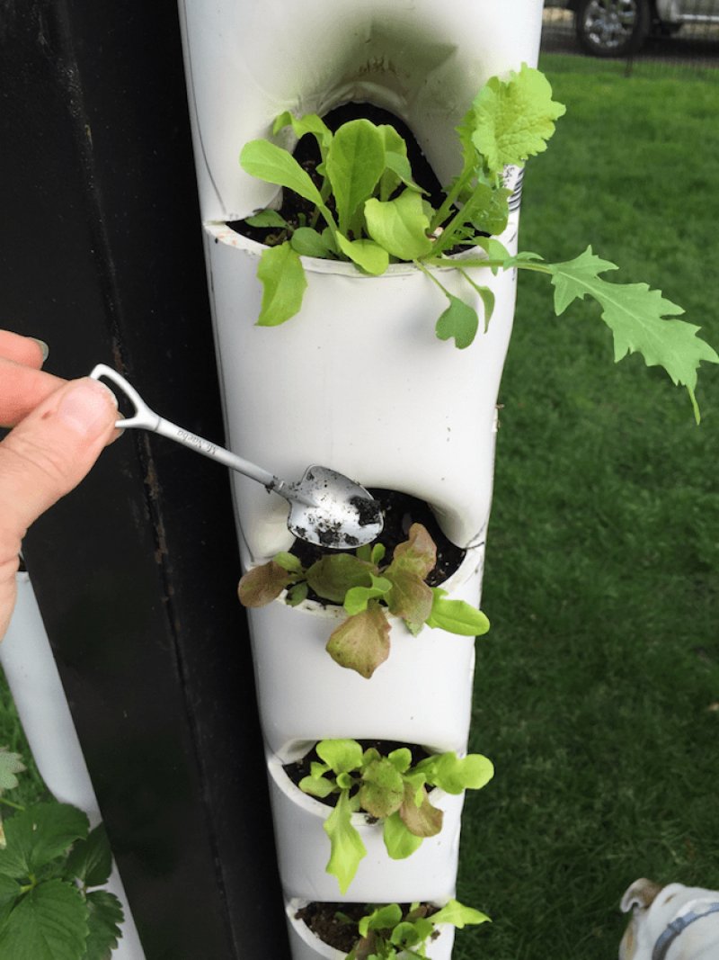 PVC Pipe Tower Garden.