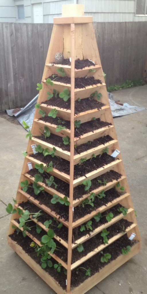 Vertical Garden Pyramid Tower.