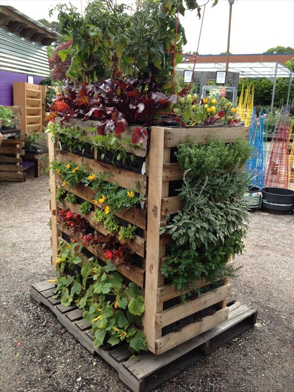 Vertical Pallet Garden.