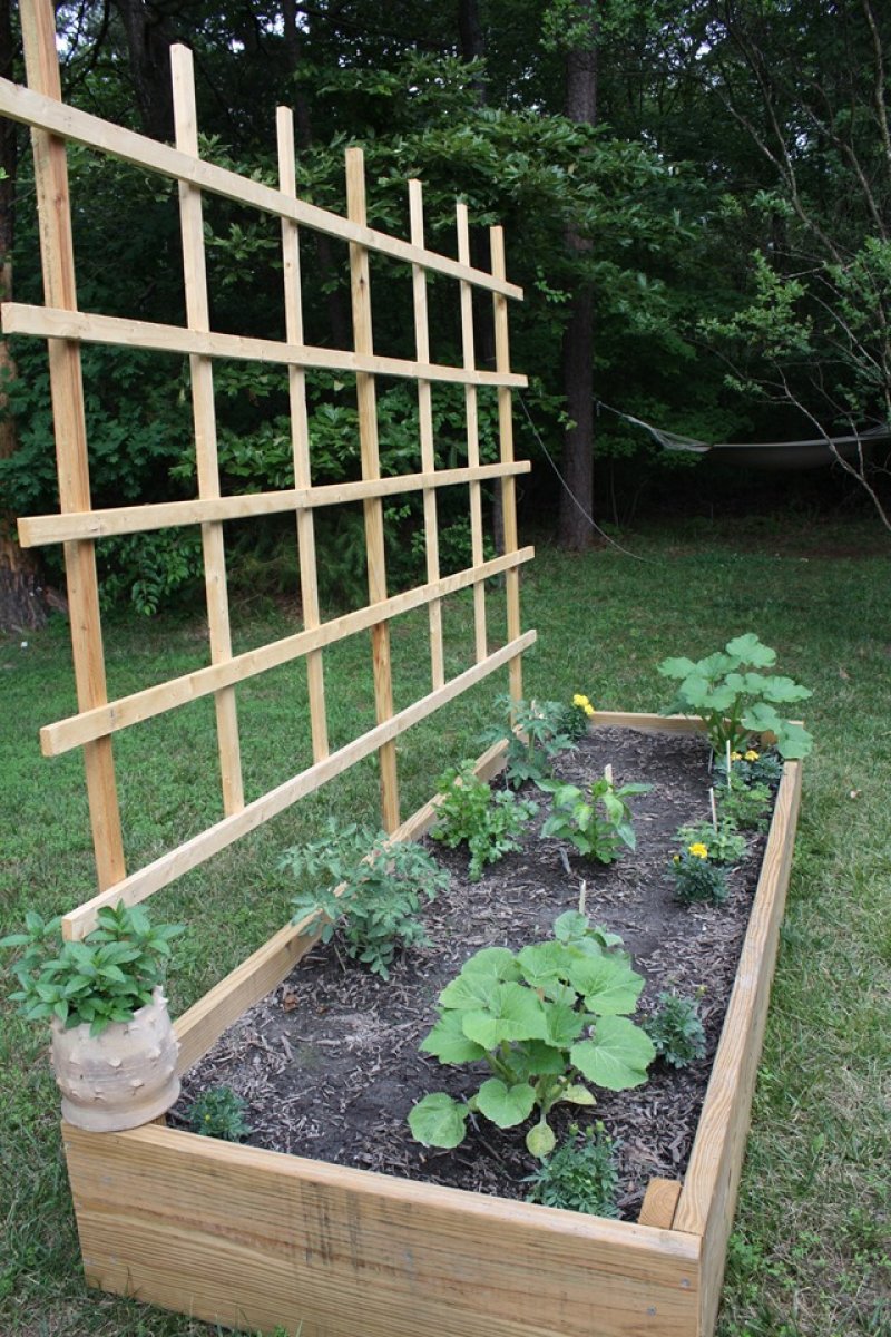 Raised Bed With Trellis.