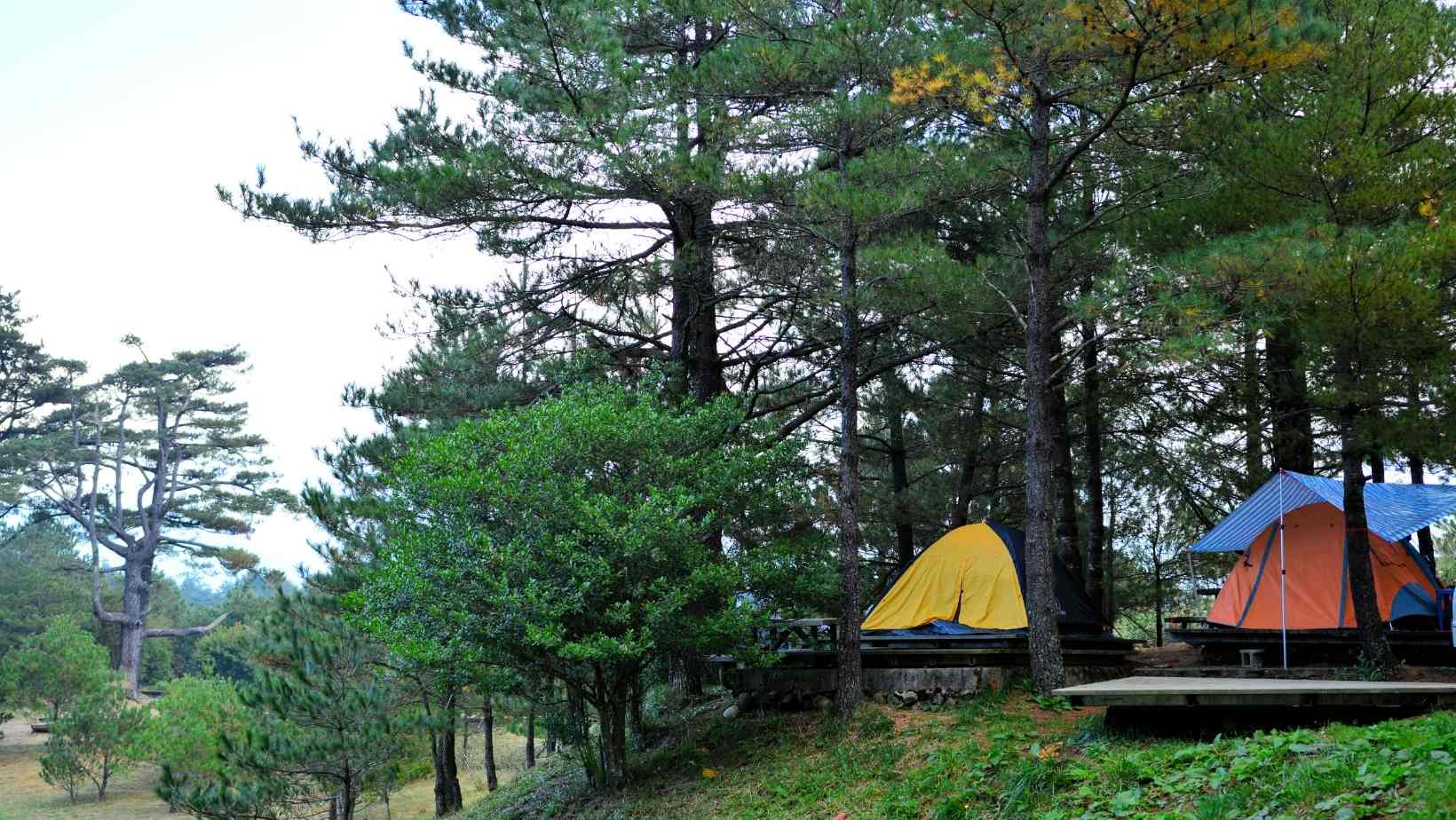 Camping around the Jadhavwadi region