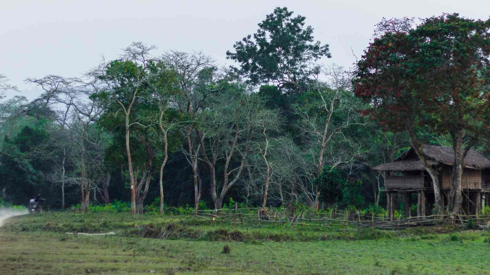 Lilabari, Assam